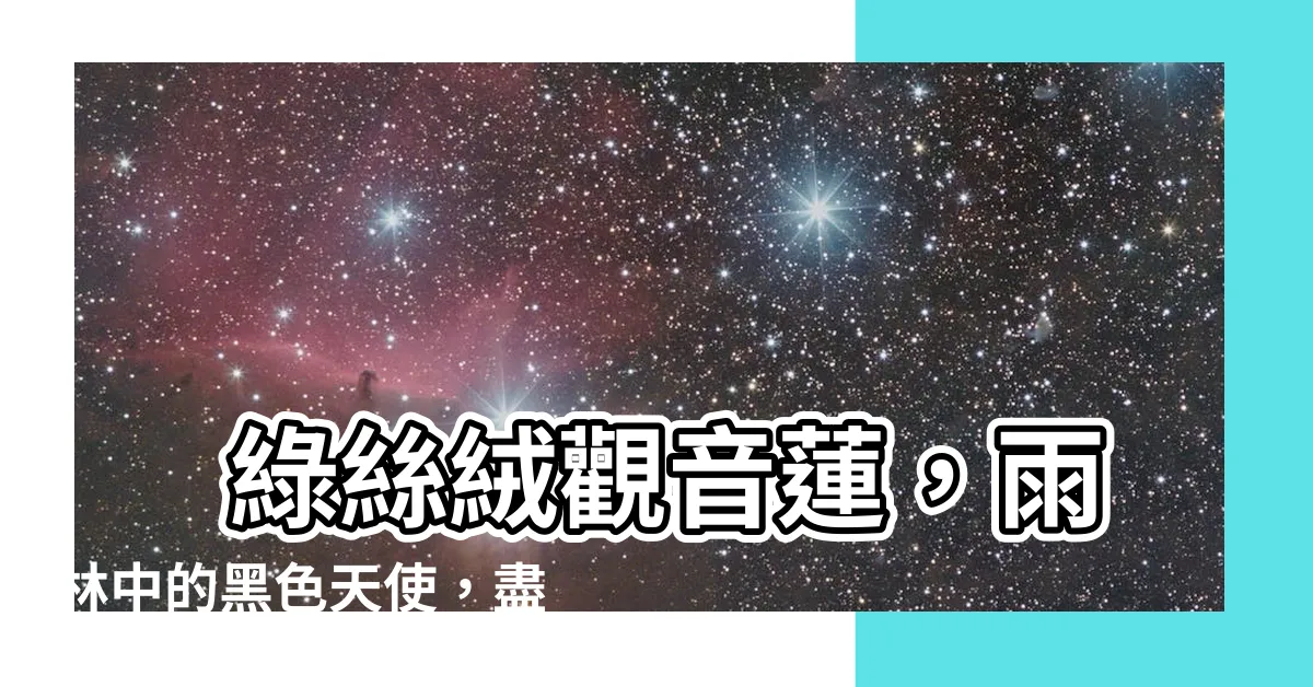 【綠絲絨觀音蓮】 綠絲絨觀音蓮，雨林中的黑色天使，盡顯優雅與魅力！