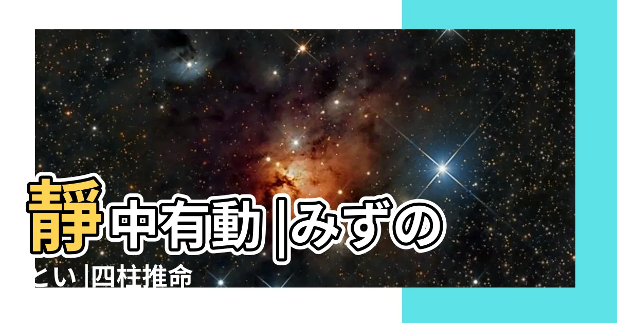 【癸 亥】靜中有動 |みずのとい |四柱推命 |