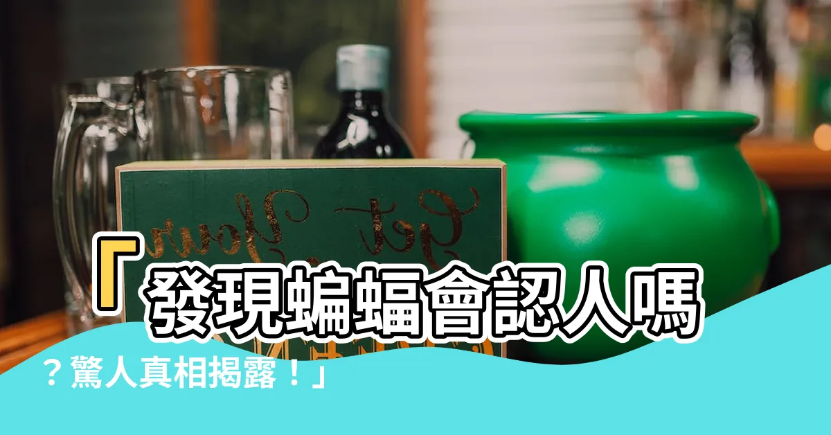 【蝙蝠會認人嗎】「發現蝙蝠會認人嗎？驚人真相揭露！」
