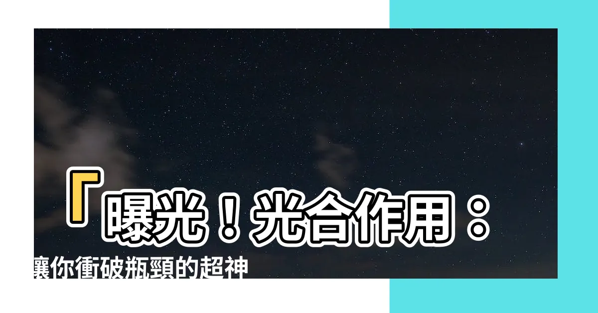 【光合作用】「曝光！光合作用：讓你衝破瓶頸的超神奇循環！」