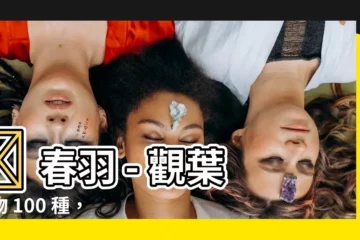 【春羽】🌿 春羽 - 觀葉植物 100 種，春季養護輕鬆上手！🌿