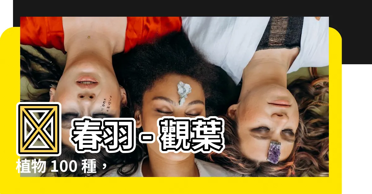 【春羽】🌿 春羽 - 觀葉植物 100 種，春季養護輕鬆上手！🌿