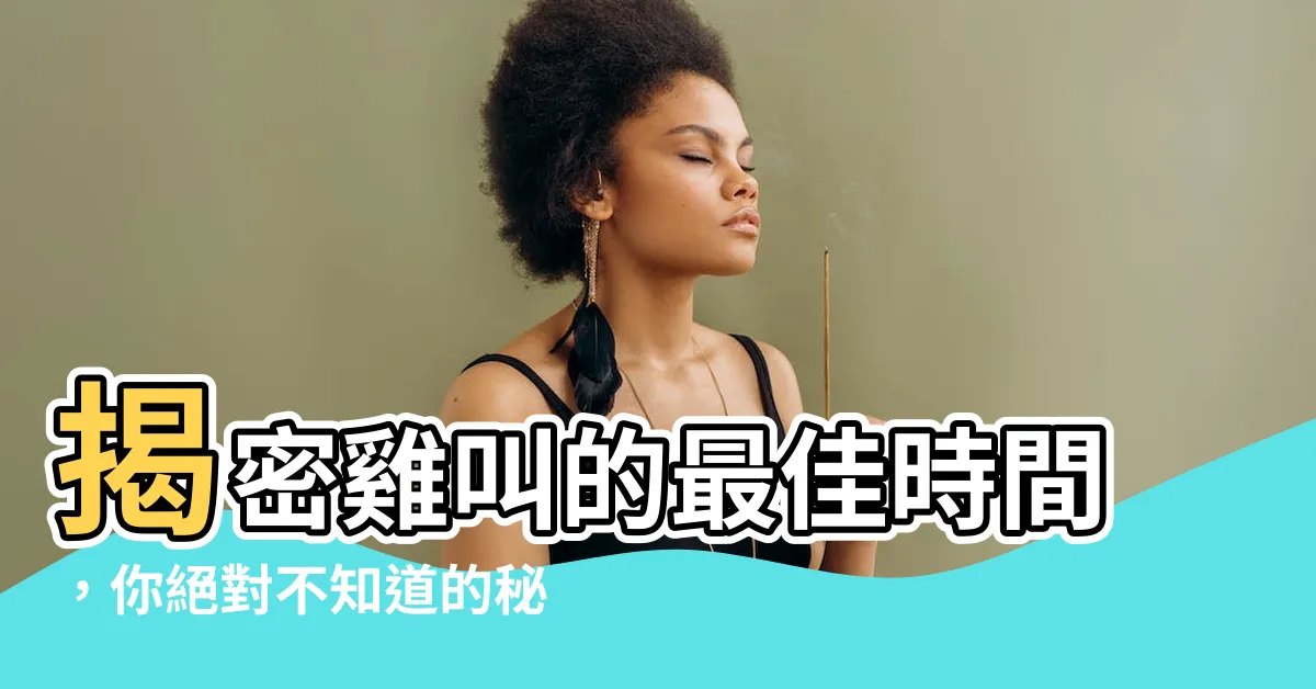 【雞叫的時間】揭密雞叫的最佳時間，你絕對不知道的秘密！