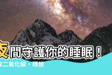 【晚上吸收二氧化碳的植物】夜間守護你的睡眠！吸收二氧化碳，釋放氧氣的綠色淨化器
