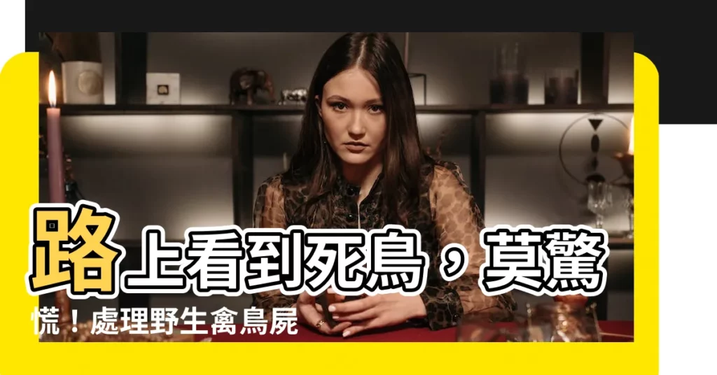 【路上看到死鳥】路上看到死鳥，莫驚慌！處理野生禽鳥屍體安全指南