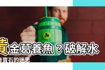 【黃金葛可以養魚嗎】黃金葛養魚？破解水中綠寶石的迷思