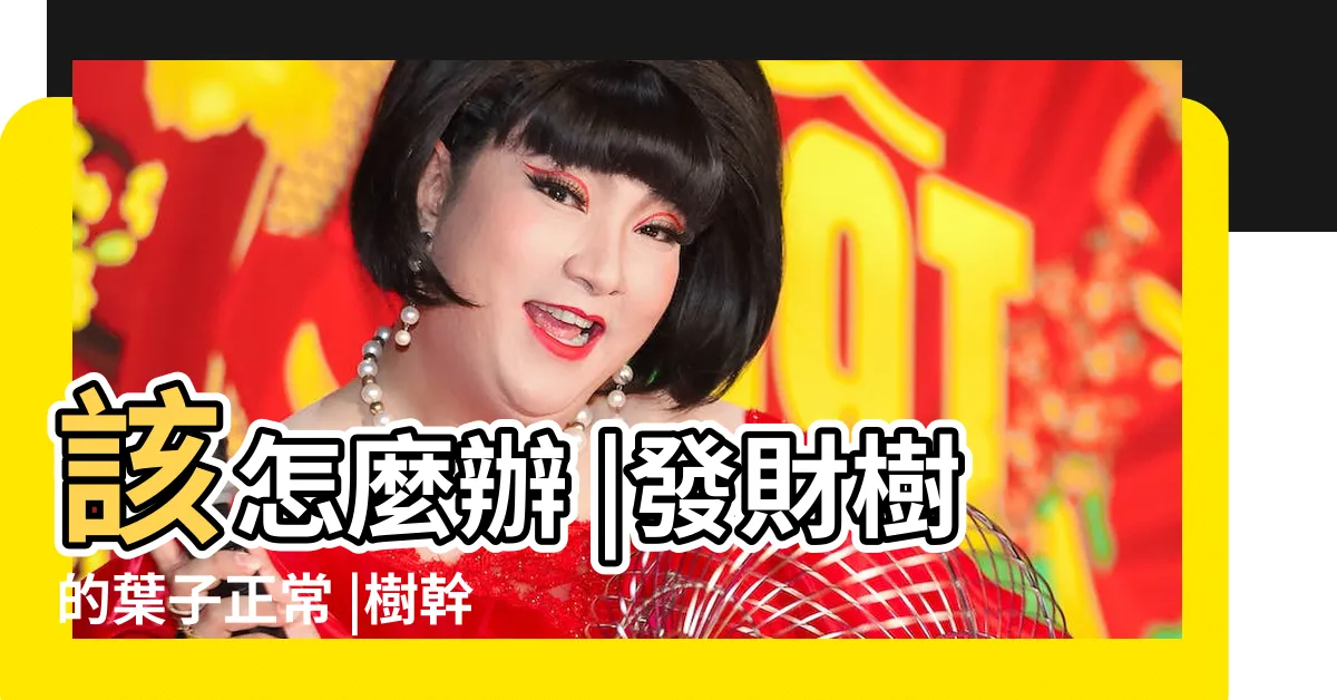 【發財樹樹幹軟】該怎麼辦 |發財樹的葉子正常 |樹幹卻變軟了怎麼辦 |