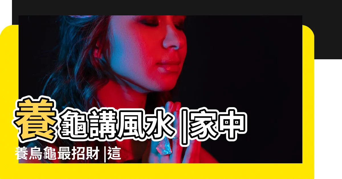 【風水龜】養龜講風水 |家中養烏龜最招財 |這幾點風水禁忌最需要注意 |
