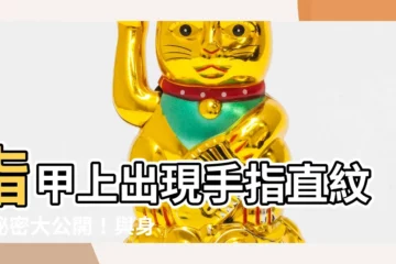 【手指直紋】指甲上出現手指直紋的秘密大公開！與身體健康息息相關！