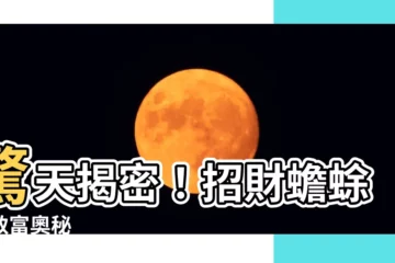 【招財蟾蜍】驚天揭密！招財蟾蜍的致富奧秘