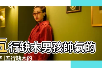 【名字缺木男孩要叫什麼名字好聽的名字】五行缺木男孩帥氣的名字 |五行缺木的男孩名字大全集 |五行缺木的男孩名字男寶寶缺木名字大全 |