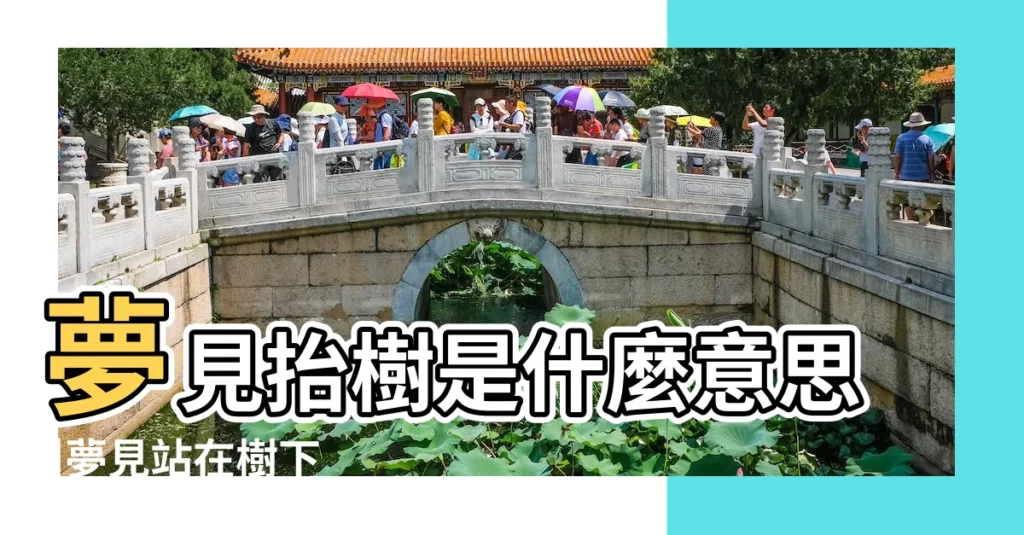 夢見抬樹是什麼意思 |夢見站在樹下 |夢見大樹枝繁葉茂 |【夢見好多人抬一顆大樹】