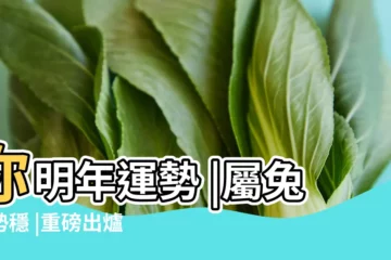 【屬鼠的逢各生肖年份的流年運勢】你明年運勢 |屬兔運勢穩 |重磅出爐 |