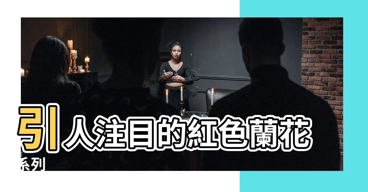 【紅色蘭花】引人注目的紅色蘭花系列
