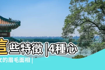 【眉毛亂的女人面相】這些特徵 |4種心機女的眉毛面相 |心機女4大眉毛面相 |