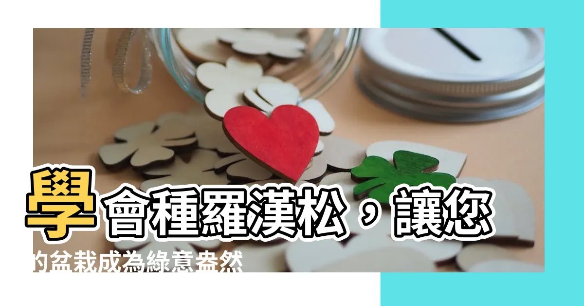【種羅漢松】學會種羅漢松，讓您的盆栽成為綠意盎然的品味之選