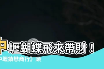 【蝴蝶飛進家裡幾號】中壢蝴蝶飛來帶財！《中壢鎮懋商行》頭獎539神靈指示開獎號碼