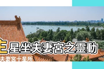 【夫妻宮在亥】主星坐夫妻宮之靈動力 |夫妻宮十星所暗示的未來另一半 |紫微斗數夫妻宮在亥宮是什麼意思 |