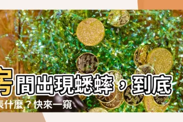 【房間出現蟋蟀代表什麼】房間出現蟋蟀，到底代表什麼？快來一窺究竟！
