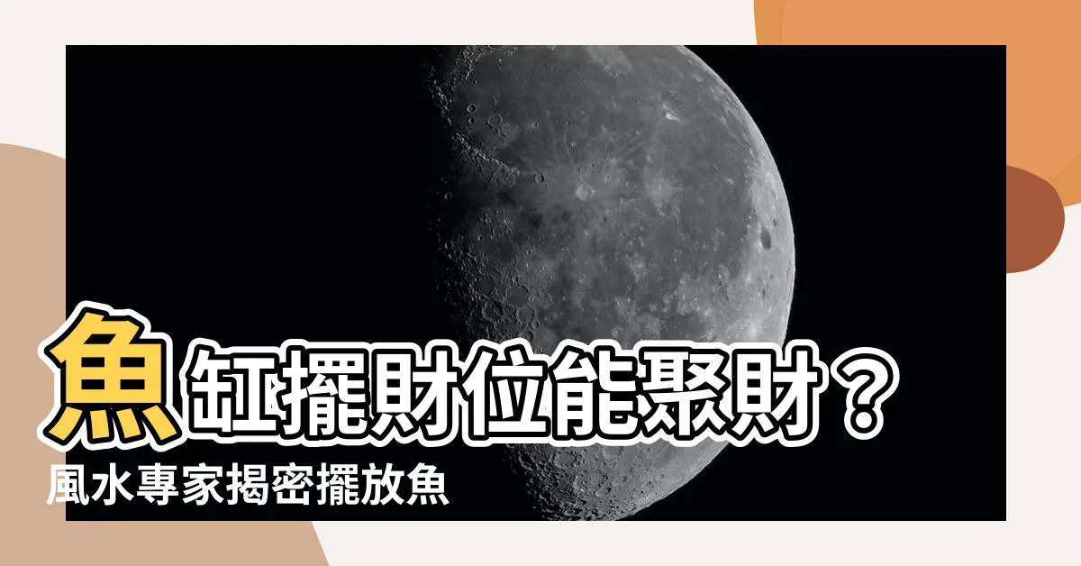 【財位可以養魚嗎】魚缸擺財位能聚財？風水專家揭密擺放魚缸財運指南