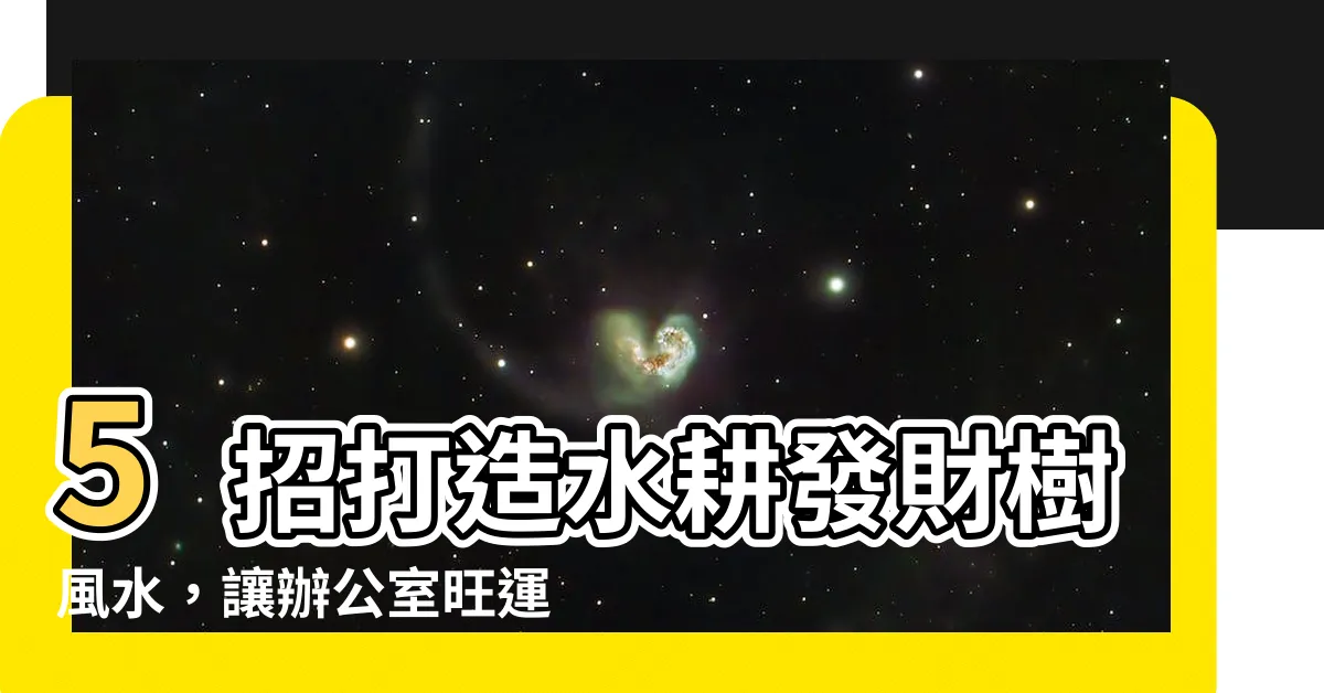 【水耕發財樹風水】5招打造水耕發財樹風水，讓辦公室旺運又招財！
