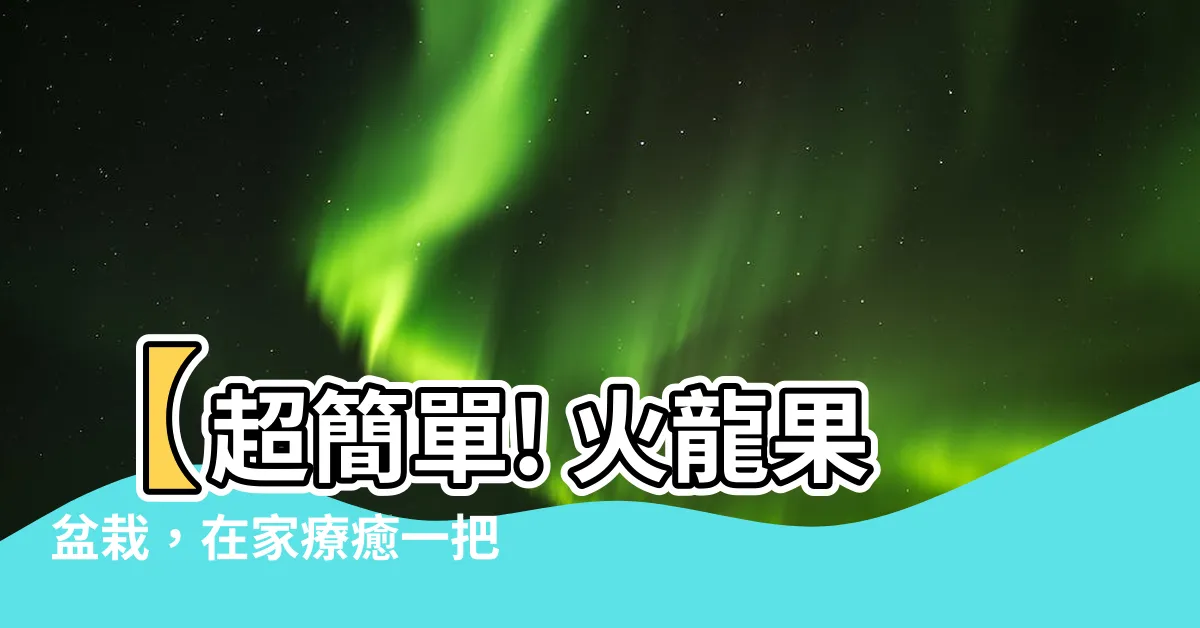 【火龍果盆栽】【超簡單! 火龍果盆栽，在家療癒一把綠!】
