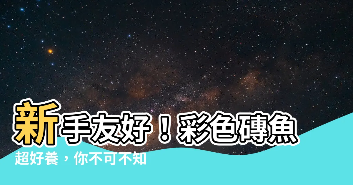 【彩色磚魚好養嗎】新手友好！彩色磚魚超好養，你不可不知的秘密