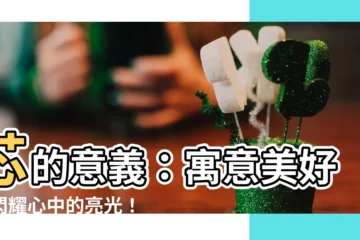 【芯的意思】芯的意義：寓意美好、閃耀心中的亮光！