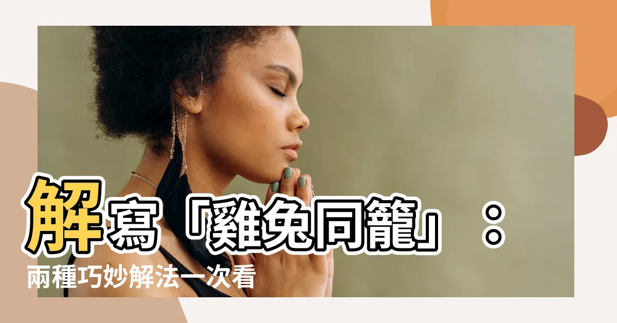 【雞兔】解寫「雞兔同籠」：兩種巧妙解法一次看！
