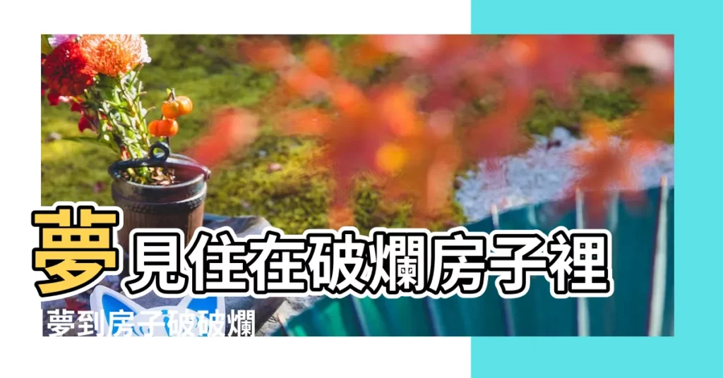 夢見住在破爛房子裡 |夢到房子破破爛爛是什麼意思 |夢見自己住破房子 |【解夢住在破爛的房子】