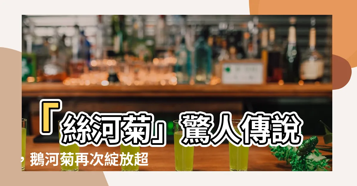 【絲河菊】「絲河菊」驚人傳説，鵝河菊再次綻放超凡力量！