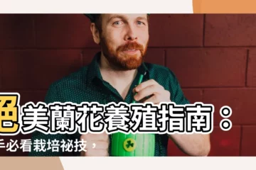 【蘭花養殖】絕美蘭花養殖指南：新手必看栽培秘技，擁抱花香迷人天地！