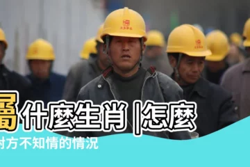 【天九娘娘指什麼生肖】屬什麼生肖 |怎麼在對方不知情的情況下監控他的聊天記錄 |九天玄女娘娘生日是什麼時間 |