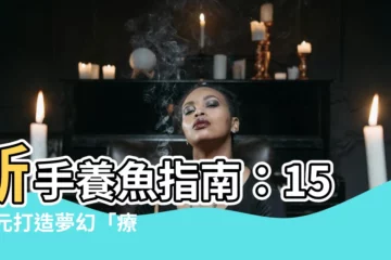 【可以養的魚】新手養魚指南：1500元打造夢幻「療癒水族箱」