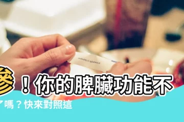 【脾臟功能不好】慘！你的脾臟功能不好了嗎？快來對照這些小毛病吧