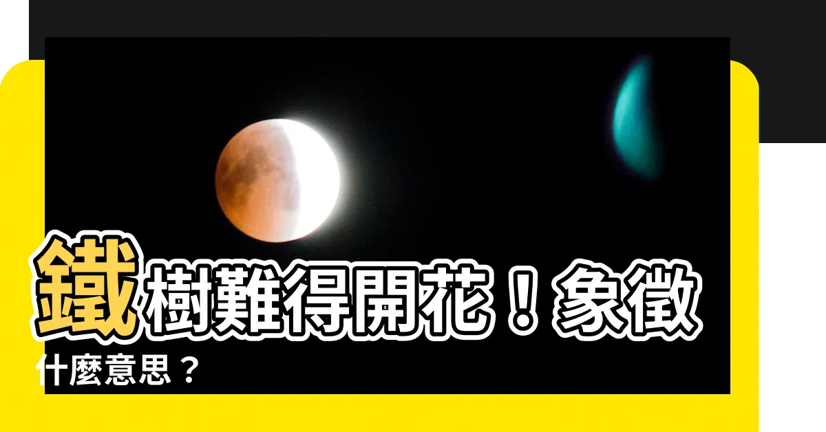 【鐵樹開花的意思】鐵樹難得開花！象徵什麼意思？