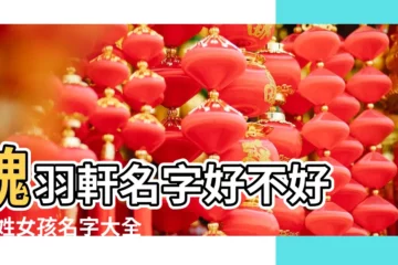 【魏羽軒這個名字的含義】魏羽軒名字好不好 |魏姓女孩名字大全屬兔2023年出生取名 |魏姓起名 |