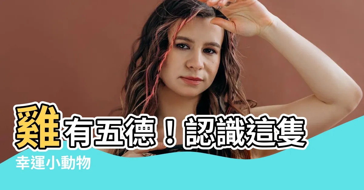 【雞有五德】雞有五德！認識這隻幸運小動物