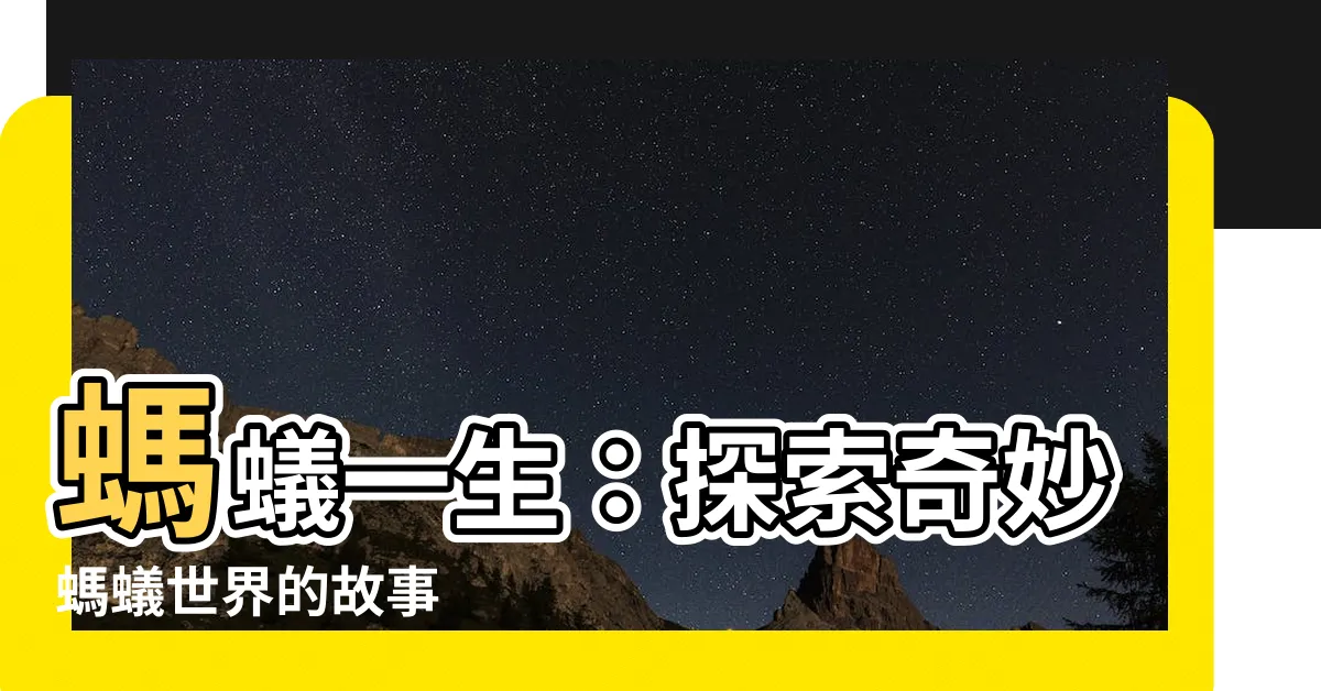 【螞蟻一生】螞蟻一生：探索奇妙螞蟻世界的故事