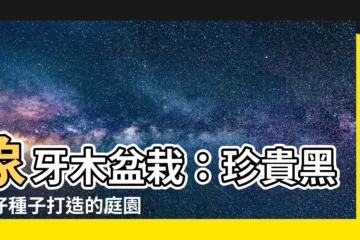 【象牙木盆栽】象牙木盆栽：珍貴黑皮仔種子打造的庭園藝術品