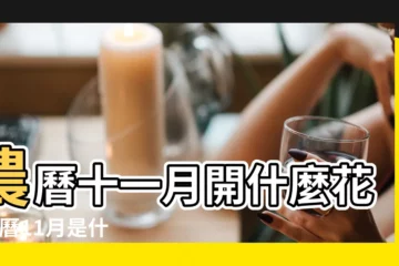 【農曆十一月開什麼】農曆十一月開什麼花 |農曆11月是什麼花 |十一月的花神來了 |