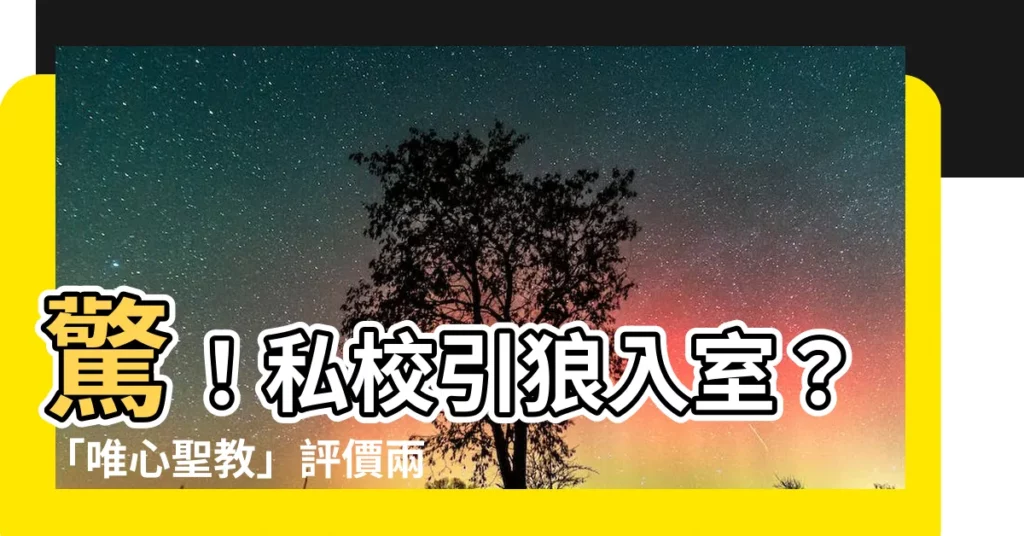 【唯心聖教評價】驚！私校引狼入室？「唯心聖教」評價兩極，是弘法還是違法？