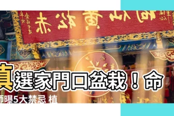 【家門口盆栽】慎選家門口盆栽！命理師曝5大禁忌 植物擺放不當會破財嗎？