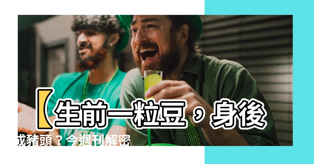 【生前一粒豆】【生前一粒豆，身後成豬頭？今週刊解密俚語中的淒美人生】