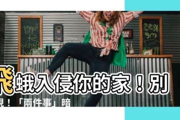 【飛蛾徵兆】飛蛾入侵你的家！別忽視！「兩件事」暗示著凶兆！