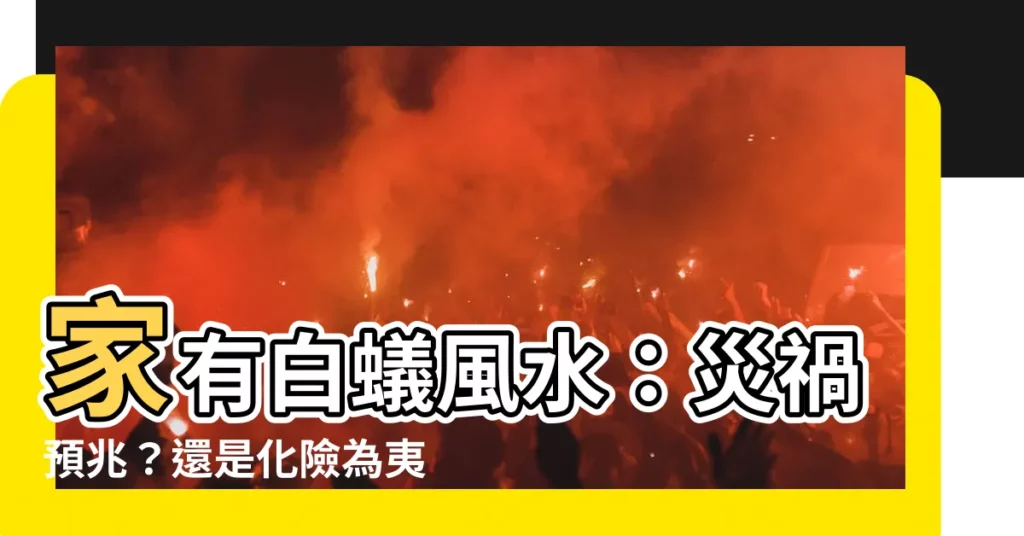 【家有白蟻風水】家有白蟻風水：災禍預兆？還是化險為夷？