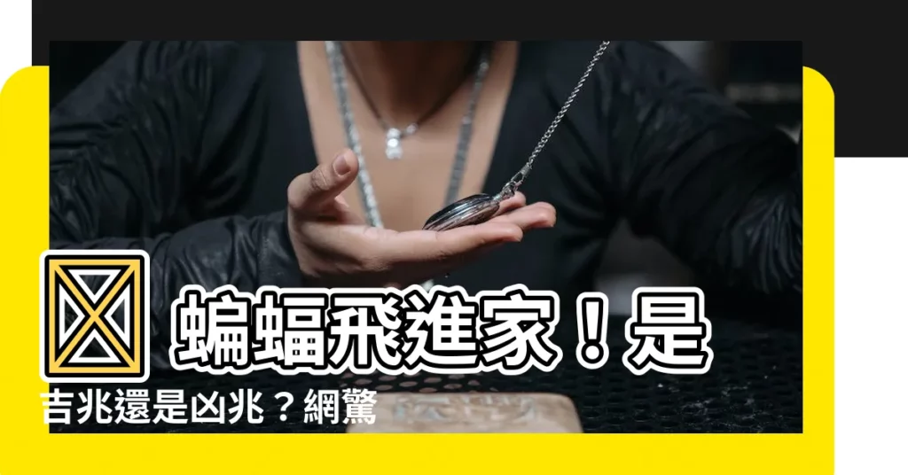 【蝙蝠飛進家】😱 蝙蝠飛進家！是吉兆還是凶兆？網驚：大吉！趕不得！😨