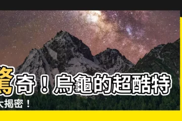 【烏龜特徵】驚奇！烏龜的超酷特徵大揭密！