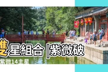 【紫薇廟科破軍旺】雙星組合 |紫微破軍 |紫微14主星 |