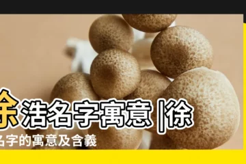 【徐浩 姓名】徐浩名字寓意 |徐浩名字的寓意及含義 |徐浩名字的含義 |